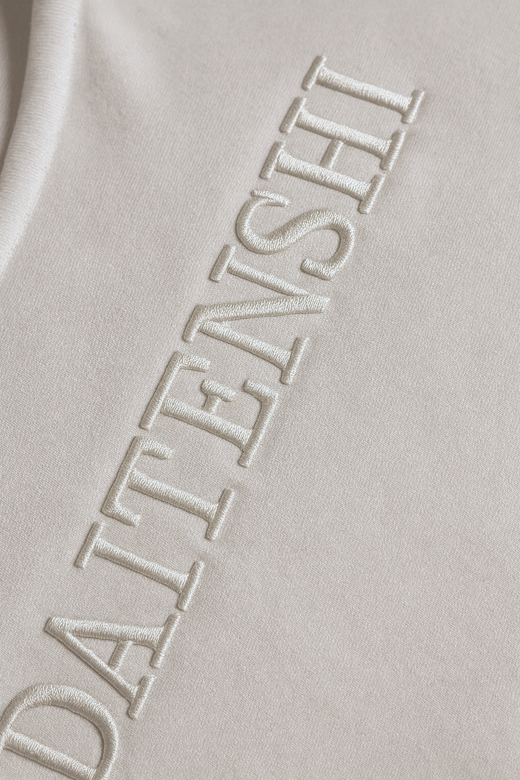 Pull molletonné crème avec logo et nom DAITENSHI brodé.